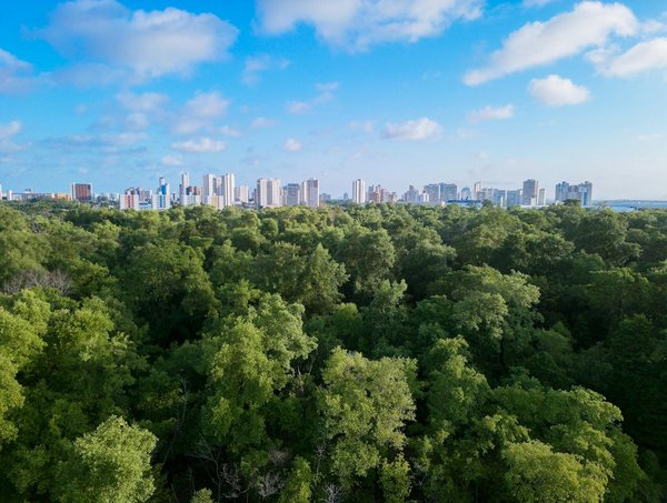 Plongée au cœur du blog informatique et it : tendances et analyses