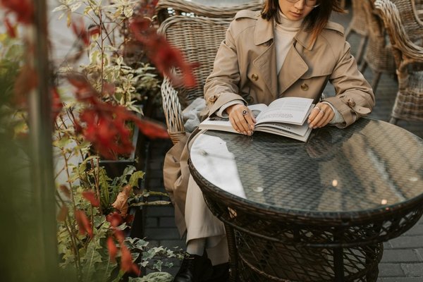 Exploration de la Transition Démographique : Voyage du Passé vers l'Avenir